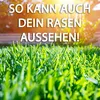 Roundup Rasen-Unkrautfrei 250ml Konzentrat gegen Produktbild-Vorschau 8