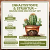 Green Home Kakteen & Sukkulenten Erde 72 L – mit Perlit, Produktbild-Vorschau 5