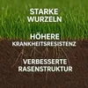 Eisensulfat 30kg Heptahydrat Hortensiendünger Garten Produktbild-Vorschau 6