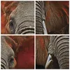 Bild auf Leinwand - Leinwandbild - 5 Teile - Elefant Rot Produktbild-Vorschau 8