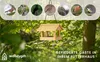 Woodygift Krmítko pro ptáky DIY k sestavení, dřevěné Náhled obrázku produktu 7