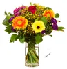 Blumenstrauß Farbenfreude | Geschenk - frische Blumen | Produktbild-Vorschau 1