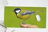 MuchoWow® Schreibtischunterlage Vogel - Kohlmeise - Tiere - Produktbild-Vorschau 5