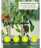 CHARLY CHILI XL – květináč na chilli, tmavě zelený | Náhled obrázku produktu 8