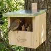 WILDLIFE HOME Vogel Nistkasten für Rotkehlchen, Produktbild-Vorschau 2