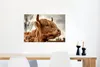 MuchoWow® Poster Scottish Highlander - Strauch - Heidekraut Produktbild-Vorschau 5