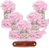 5 x ALIZE Puffy 31 Baby Pink mit Label Produktbild-Vorschau 1