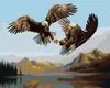 Zuty - Malen nach Zahlen - ADLER IM KAMPF - NAHAUFNAHME (D. Produktbild-Vorschau 1