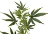 Europalms Hanfzweig künstlich 90cm 82506699 Náhled obrázku produktu 3