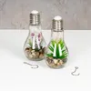 2er Set Sukkulenten Glühbirne Im Glas B x H: 8 x 19 cm LED Produktbild-Vorschau 4
