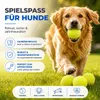 6 palline da tennis gialle per allenamenti e competizioni - Anteprima dell’immagine prodotto 6