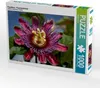 Calvendo Passiflora - Passionsblume 1000 Teile Puzzle quer Produktbild-Vorschau 2