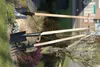 -Sauzahn, mit Buchengriff (14cm) Produktbild-Vorschau 5