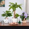 Set da 6 coni in terracotta Relaxdays, sistema di Anteprima dell’immagine prodotto 5