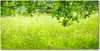 Tulup® Leinwandbild - 140x70 cm - Wandkunst - Drucke auf Produktbild-Vorschau 1