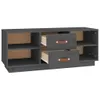 The Living Store TV-Schrank Grau 100x34x40 cm Massivholz Produktbild-Vorschau 8