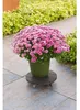 Plant pot stand with wheels - NATURE - WPC H7.5 x Ø30 cm - Productafbeelding-voorbeeld 2