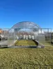Garten Dream Polycarbonat-Gewächshaus "Oasis" 4x6m aus Produktbild-Vorschau 5