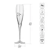 KROSNO Perla, Set di 4 bicchieri da champagne, 170 ml Anteprima dell’immagine prodotto 3