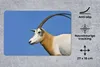 MuchoWow® Mauspad Mousepad Tier - Horn - Ziege 27x18 cm - Produktbild-Vorschau 2