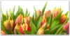 Glasbilder 140x70 Wandbild Druck auf Glas Tulpen Pflanzen Produktbild-Vorschau 1