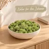 Islandmoos 500 g in über 30 Farben, konservierte Produktbild-Vorschau 5