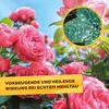 Solabiol® Grundstoff Lecithin Rosen-Spray anwendungsfertig Produktbild-Vorschau 8