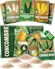 ZenGreens® Graines Bio de Concombres – Set 6 Variétés Voir les images du produit 1
