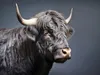 CALVENDO Puzzle Ein Motiv aus dem Kalender "Only Black" | Produktbild-Vorschau 3