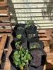 Jardinière surélevée en tissu à 8 compartiments, pot de Voir les images du produit 4