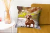 MuchoWow® Zierkissen Sofakissen Wohnzimmer Dekokissen 45x45 Produktbild-Vorschau 6