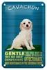 Blechschild Spruch 12x18cm Cavachon Hund gentle affectionat Produktbild-Vorschau 1