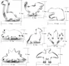 Dinosaurier Ausstecher keksausstecher Set-8-teilig-Trex, Produktbild-Vorschau 5