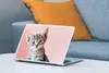 MuchoWow® Laptop Aufkleber Sticker Cover Kätzchen - Blau - Produktbild-Vorschau 4