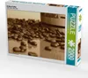 CALVENDO Puzzle Arabica Kaffee 2000 Teile Puzzle quer | Produktbild-Vorschau 1