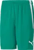 Puma Teamliga Shorts Kinder - Rot Produktbild-Vorschau 7