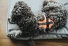 Hunter Maldon, Hund, Halftergeschirr, XS, Grau, Orange, Produktbild-Vorschau 12