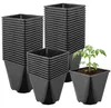 Garronda, lot de 50 pots en plastique carrés aux angles Voir les images du produit 1