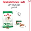 ROYAL CANIN Mini Adult 4kg Podgląd zdjęcia produktu 10
