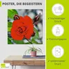 ARTland Poster Rote Rosenblüte mit Knospen Größe: 40x40 cm Produktbild-Vorschau 2