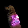 LED Hundegeschirr aufladbar reflektierend, verstellbar mit Produktbild-Vorschau 2