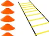 Agility Ladder 12 Sprossen 20ft Produktbild-Vorschau 3