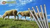 20 W-Profil Zaunanker Erdanker für Wildzaun Forstzaun Produktbild-Vorschau 2