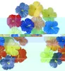 18 Hibiskus-Blüten bunt Produktbild-Vorschau 5