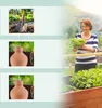 Relaxdays Ollas, set da 3, 550 ml, terracotta, irrigazione Anteprima dell’immagine prodotto 6
