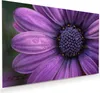 Glasbild 120x80cm in XXL für Wohnzimmer, Schlafzimmer Motiv Produktbild-Vorschau 1
