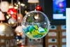 Koziol Hängedisplay ORION transparent 2er-Set Produktbild-Vorschau 12