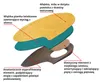 Orthopädische Schuheinlagen bei Fersensporn und Produktbild-Vorschau 7
