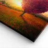 Bild auf Leinwand - Leinwandbild - Einteilig - Baum Wiese Produktbild-Vorschau 5