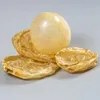 A dried pig's bladder is shown on a plain background, with two other pieces of dried bladder surrounding it. Produktbild-Vorschau